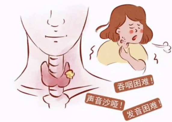 警惕成长&ldquo;隐形障碍&rdquo;&mdash;&mdash;儿童甲状腺异常的常见信号与科学守护